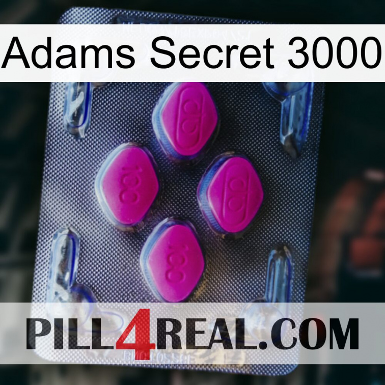 Adams Secret 3000 02